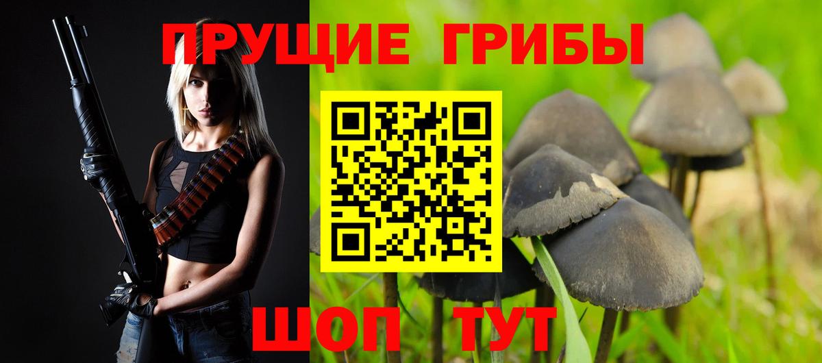 Псилоцибиновые грибы Psilocybine cubensis  Вход с VPN  Братск 